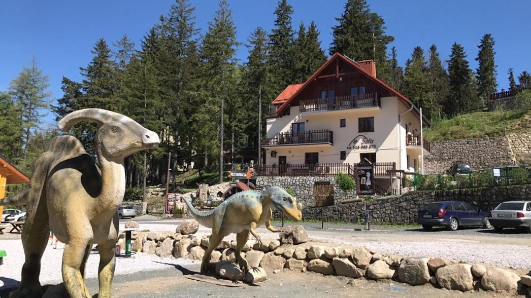 Safir Przy Samym Wyciagu Panzió Karpacz Kültér fotó
